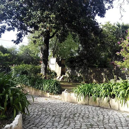 Dos Poetas Σίντρα