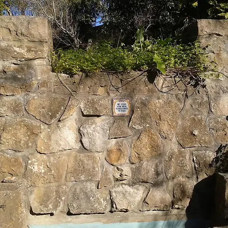 Dos Poetas 辛特拉