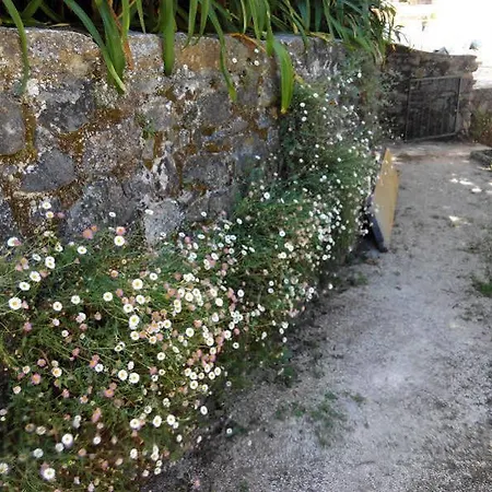 Dos Poetas 住宿加早餐酒店 辛特拉