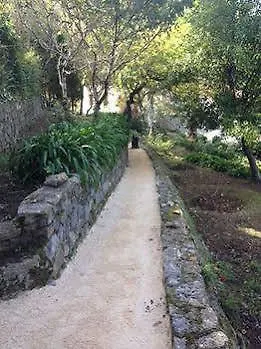 Bed & Breakfast Dos Poetas Sintra